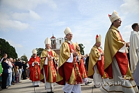 20140914 silines 3133 ms