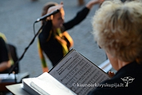 20140914 silines 3237 ms