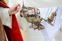 20140915 silines 3330 ms