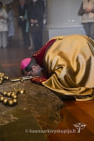 20140915 silines 3386 ms