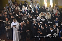 20140915 silines 3418 ms