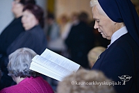 20140915 silines 3432 ms