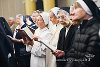 20140915 silines 3438 ms