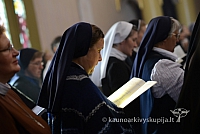 20140915 silines 3445 ms