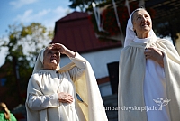 20140915 silines 3492 ms