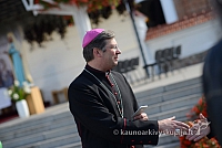 20140915 silines 3504 ms