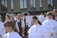 20140915 silines 3550 ms