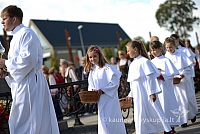 20140915 silines 3558 ms