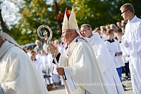 20140915 silines 3578 ms