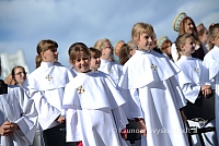 20140915 silines 3590 ms