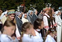 20140915 silines 3593 ms