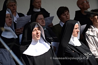 20140915 silines 3640 ms