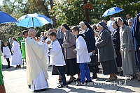 20140915 silines 3664 ms