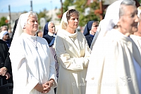 20140915 silines 3691 ms