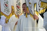 20140915 silines 3700 ms