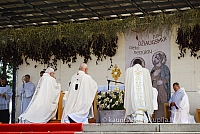 20140915 silines 3705 ms