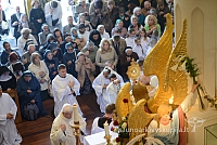 20140915 silines 3781 ms