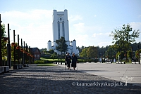 20140915 silines 3871 ms