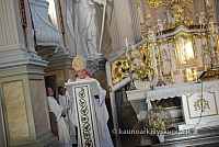 20140915 silines 3898 ms