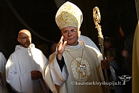 20140915 silines 3918 ms