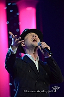 2014 valentinas-k 3729 ll