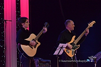 2014 valentinas-k 4138 ll