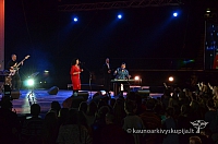 2014 valentinas-k 4169 ll