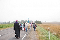 20150830 silines 0078 sk