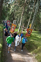 20150830 silines 0331 sk