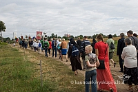 20150830 silines 0407 sk