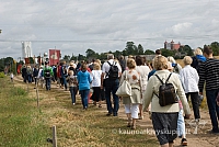 20150830 silines 0412 sk