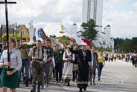 20150906 silines 1971 ms