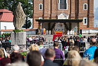 20150906 silines 2060 ms