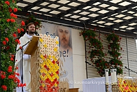 20150907 silines 2226 ms