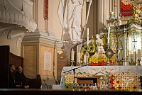 20150907 silines 2520 ms