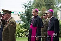 20150908 silines 2529 ms