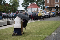 20150908 silines 2605 ms