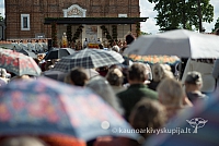 20150909 silines 3119 ms