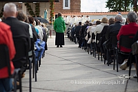 20150909 silines 3131 ms