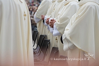 20150909 silines 3172 ms