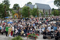 20150909 silines 3178 ms