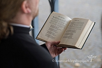 20150909 silines 3182 ms