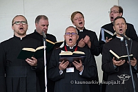 20150909 silines 3189 ms