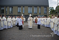 20150909 silines 3228 ms