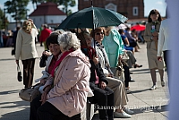 20150910 silines 3310 ms