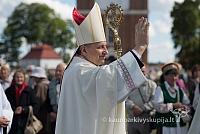 20150910 silines 3489 ms