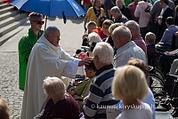 20150911 silines 3761 ms