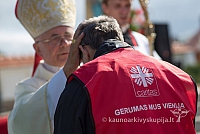 20150911 silines 3785 ms