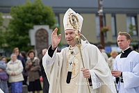 20150912 silines 3869 ms