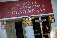 20150913 silines 4105 ms